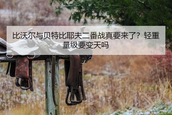 比沃尔与贝特比耶夫二番战真要来了？轻重量级要变天吗
